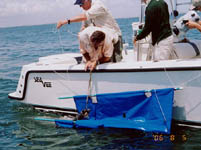   lafayette big games fishing baton rouge fishing guides lousiana deep sea fishing sabine lake fishing beaumont saltwater fishing lake charles tarpon fishing orange sharks venice kingfish fishing  